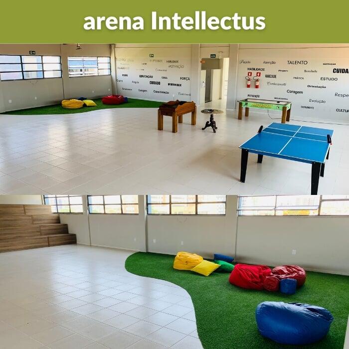 Arena Intellectus